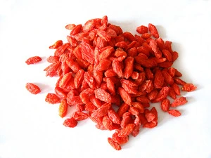 Factory product chinese wolfberry/goji berry hot sale