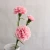 Import Factory supply handmade artificial carnations /dried carnations China flower hot sales from China