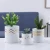 Import Factory wholesale Garden  home decorative  White ceramic   Cylinder   succulent planter   Ceramic  Flower  pot with tray from China