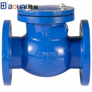 Flanged Rubber Disc Check Valve