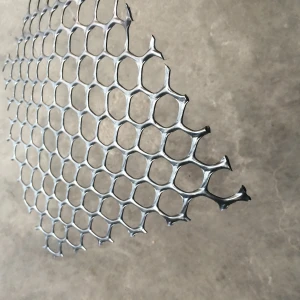 Extruded Flat Plastic Netting for Chicken and Poultry Breeding