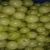 Import Fresh Amla Fruits from India