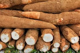 Fresh Cassava Tubers for sale