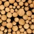 Import Fresh Cut Beech Timber/Logs from Brazil
