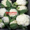 Fresh Export Quality Bangladeshi Cauliflower