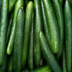 Fresh Frozen Cucumber