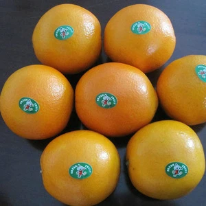 Fresh Navel Orange