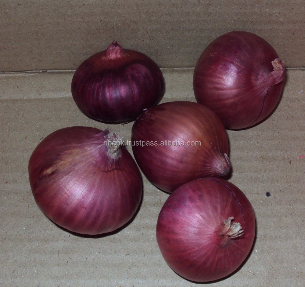 Fresh Onion from Pakistan ( Naqshbandi Enterprises )