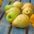 Import Fresh Pear Juicy 100 Quality from South Africa