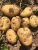 Import fresh potato importers in dubai from China