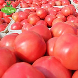 Fresh tomatoes will be available in a variety of specifications and packaging