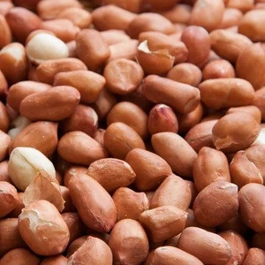 Fresh wholesale roasted raw blanched peanuts