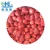 Import Frozen strawberry fresh fruit for Thailand and Malaysia manufacturer from China