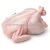 Import Frozen whole chicken exporters for online sellers Top frozen whole chicken brands from China