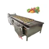 Fruit Washing Machine Vegetable Bubble Washer Fruit and Vegetable Cleaning Machine