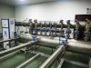 Full Automatic Sonic Nozzle Method Gas Flow Test Apparatus