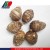 Import GAP China Taro, Colocasia Roots, Fresh Big Taro from China