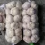 Import Garlic Price in China Fresh Normal White Style red garlic 10 kg packaging for sale from China