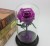 Import Gift Roses Flowers DIY Stabilized Preserved Flower Forever Eternal Rose in Glass Dome, preserved rose in glass from China