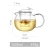 Import Glass Teapot Infuser Cups Set Good Clear Borosilicate Stovetop Safe Kettle Blooming and Loose Leaf Tea Pots Oneisall from China