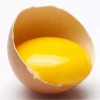 GMP Standard High Quality Egg Yolk Powder