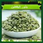 Grade A Shine Skin Pumpkin Seed Kernels pumpkin seed kernels shine skin & GWS
