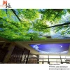 Guangzhou decorative materials fall ceiling design picture blue sky ceiling tile for living room