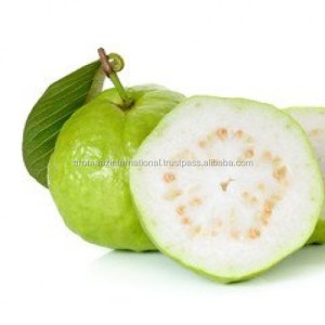 Guava Seed Oil Bulk Price