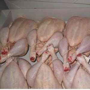 Halal Brazilian Frozen Whole Chicken