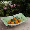 Hand Painted ceramic fruit tray porcelain vegetable plate large Flower Bird hotel home restaurant sugar cake dish