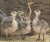 Import Healthy Live ostrich chicks and birds from USA