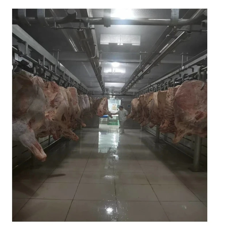 HENGER PLC  automatic control defrosting room machine for beef meat frozen