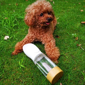High Borosilicate Glass Travel Outdoor Portable Drinking Pet Dog Water Bottle With Healing Crystal