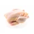 Import High quality fresh or frozen meat chicken from Ukraine