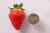 Import High Quality Fresh Strawberry Fruit Best Suited For Gifts from Japan