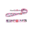 High quality Heat transfer print pet dog collar dog leash set with colorful pattern design