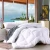 Import High quality hotel bedding accessories comforter White warm soft winter thick quilt from China