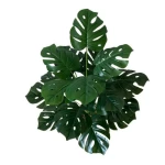 High-quality plant decoration ornaments wall decoration small bonsai 18 artificial green plants
