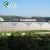 Import high quality plastic film  greenhouse for plant tomato from China