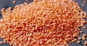 High quality Red  turkish Lentils with good price