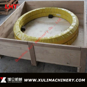 High Quality Slewing Bearing Slewing Ring for ZAX200