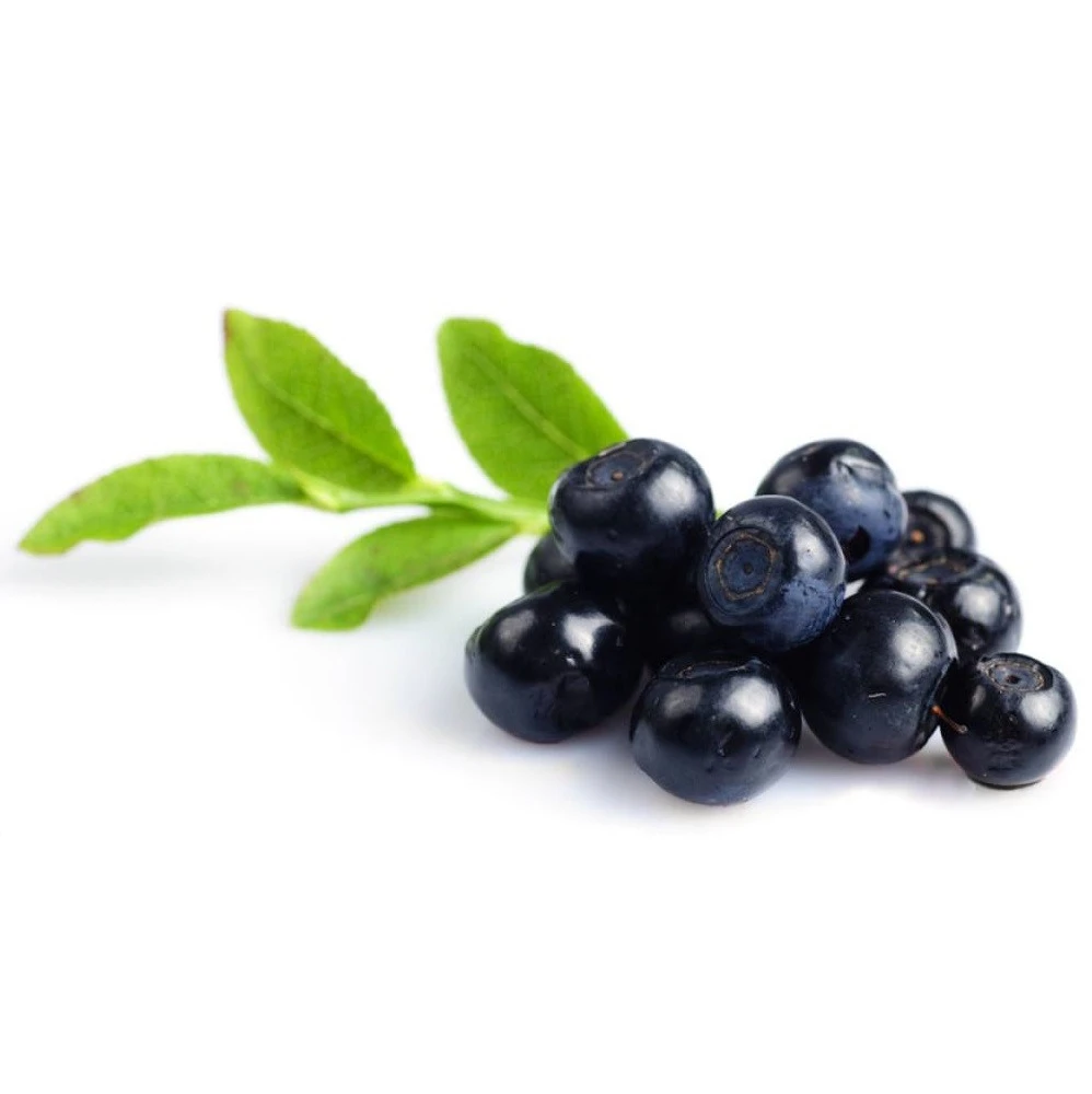 High quality sweet fresh frozen blueberries