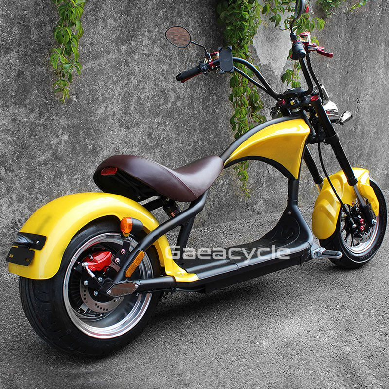 Buy Holland Warehouse M1 Citycoco 2000w Electric Scooter With Seat ...