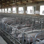 Hot Dip Galvanized Stainless Steel Livestock Farm Sheep or Goat Stockyard Fence Corral Panel