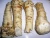 Import Hot Fresh Horseradish from China