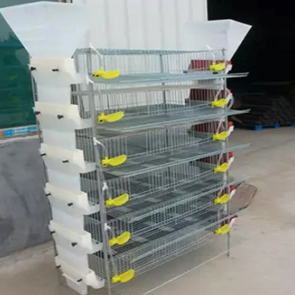 Hot sale 6 tiers H type quail cage for quail breeding