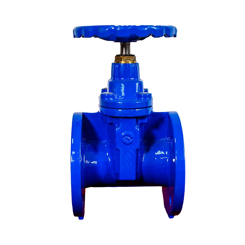 Hot selling customized ANSI DN125  PN10 EPDM Non rising stem Resilient soft seal gate valve