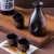 Import Hot Selling Durable Vintage Style Japanese Restaurant Barware Ceramic Sake Cup Set Sake Wine Bottle from China