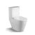 Import hot selling one piece washdown ceramic wc pan bathroom toilet from China