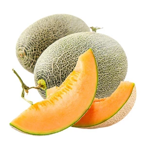 Hybrid f1 green skin orange flesh sweet melon seeds